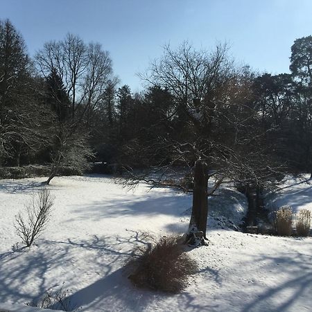 威尔格雷住宿加早餐旅馆 Clairefontaine-en-Yvelines 外观 照片